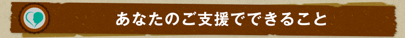 あなたのご支援でできること