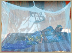 保健員を養成する！