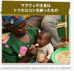 マラウィの主食はトウモロコシを練ったものcUNICEF/MLWB2008-936/ARJEN VAN DE MERWE