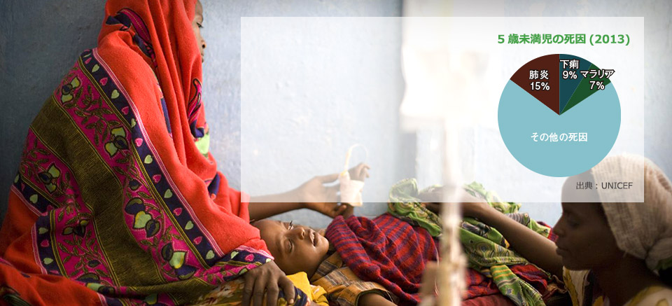 5歳未満児の死因(2013)