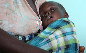 10ヵ月のダリヤ