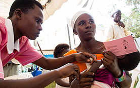 予防接種の実施画像