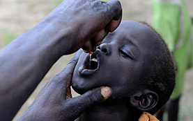 ビタミンAの投与画像