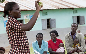 栄養・衛生指導画像