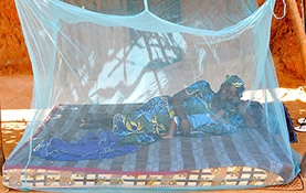 殺虫処理された蚊帳の配布画像