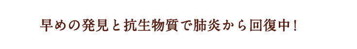 早めの発見と抗生物質で肺炎から回復中！