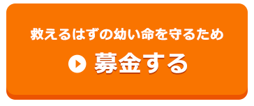 救えるはずの幼い命を守るため募金する