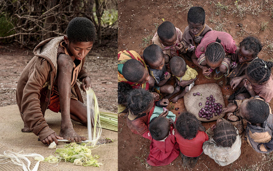 Madagascar アフリカ・マダガスカル南部/ラハ