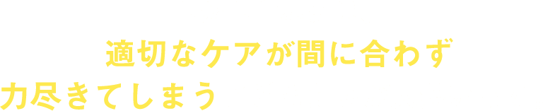 しかし世界には、適切なケアが間に合わず力尽きてしまう子どもたちが大勢います。