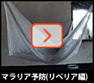 マラリア予防(リベリア編)