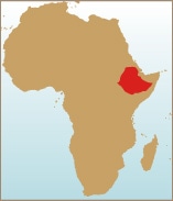 エチオピア・シェベディノ