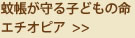 蚊帳が守る子どもの命　エチオピア