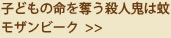 子どもの命を奪う殺人鬼は蚊　モザンビーク