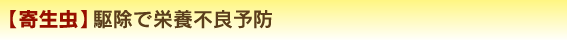 【寄生虫】駆除で栄養不良予防