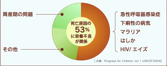 死亡原因のグラフ