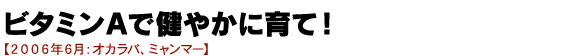 ビタミンAで健やかに育て！