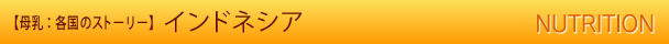 【母乳:各国のストーリー】インドネシア