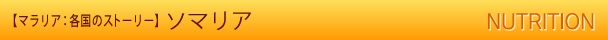 【マラリア：各国ストーリー】ソマリア