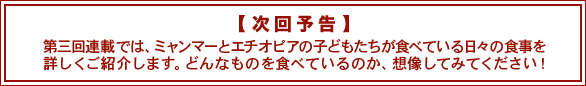 次回予告　第三回連載では、ミャンマーとエチオピアの子どもたちが食べている日々の食事を