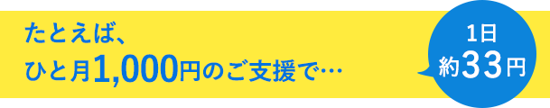たとえば、ひと月1,000円のご支援で...1日約33円
