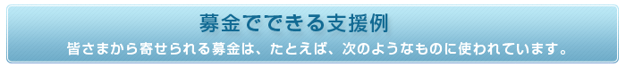 募金でできる支援例　皆さまから寄せられる募金は、たとえば、次のようなものに使われています。