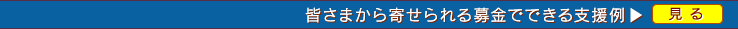 皆さまから寄せられる募金でできる支援例