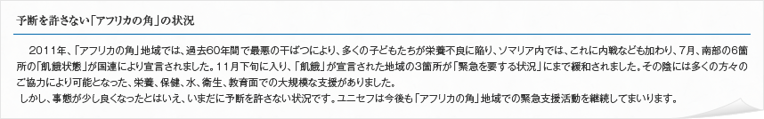予断を許さない「アフリカの角」の状況