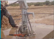 皮膚を破って出てきたメジナ虫