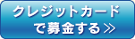 クレジットカードで募金する